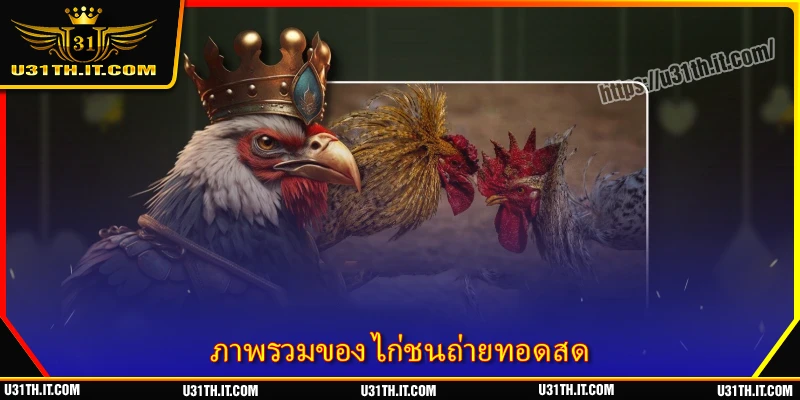 ภาพรวมของ ไก่ชนถ่ายทอดสด