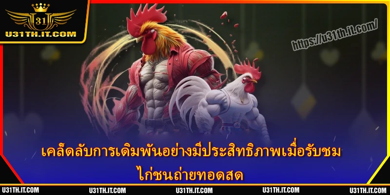 เคล็ดลับการเดิมพันอย่างมีประสิทธิภาพเมื่อรับชม ไก่ชนถ่ายทอดสด