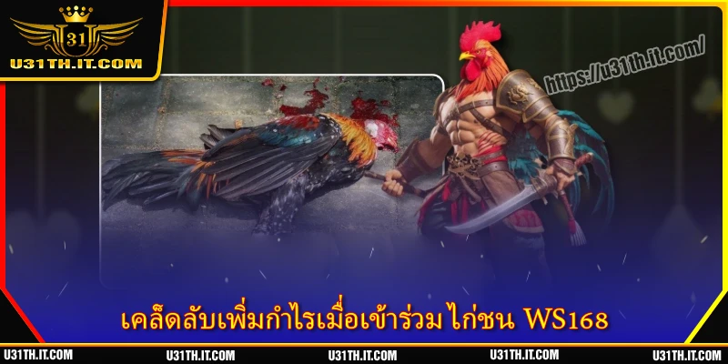 เคล็ดลับเพิ่มกำไรเมื่อเข้าร่วม ไก่ชน WS168