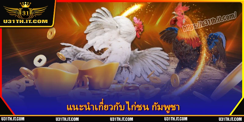 แนะนำเกี่ยวกับ ไก่ชน กัมพูชา