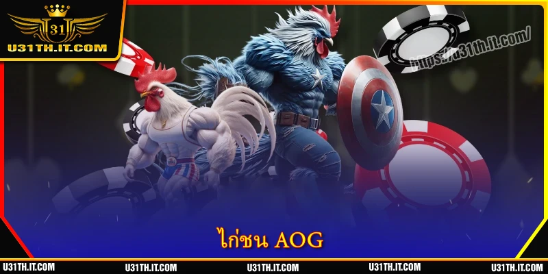 ไก่ชน AOG - สนามเดิมพันคุณภาพระดับมืออาชีพ