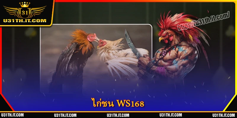 ไก่ชน WS168 - สังเวียนระดับสูงที่เปี่ยมด้วยกลิ่นอายดั้งเดิม